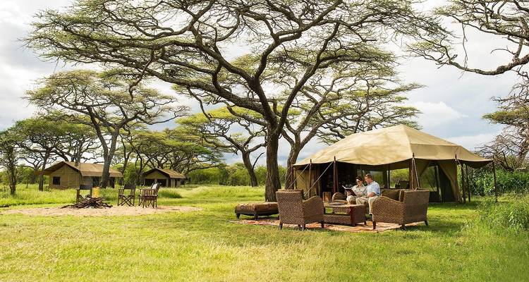 Een tentenkamp voor safari's gelegen in een savannelandschap.
