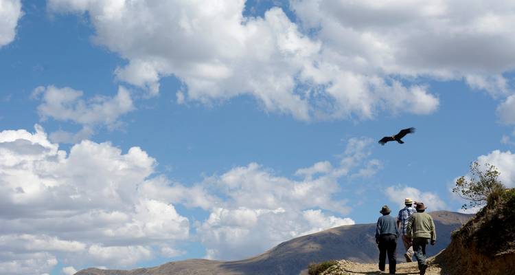 View of the Condor in Chonta Canyon – Private Service - Inkayni Peru Tours 4