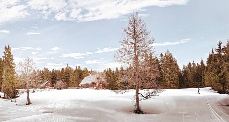 Fin de semana de lujo en los Alpes: de Praga a Austria para esquiar o hacer senderismo y spa termal - Prague Best Experience 3