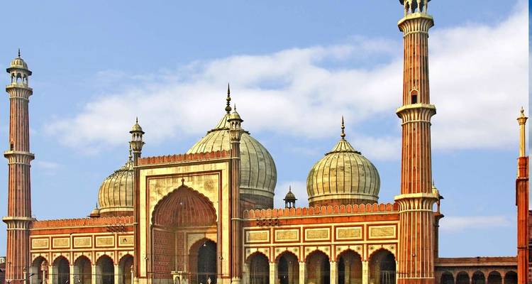 Circuit du Triangle d'Or avec la réserve ornithologique de Bharatpur et Varanasi - Real viaggi india  1