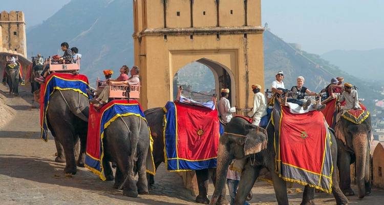Circuit du Triangle d'Or avec la réserve ornithologique de Bharatpur et Varanasi - Real viaggi india  10