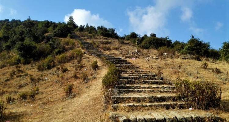 Steinstufen, die einen trockenen, grasbewachsenen Hügel mit vereinzelten Büschen hinaufführen.