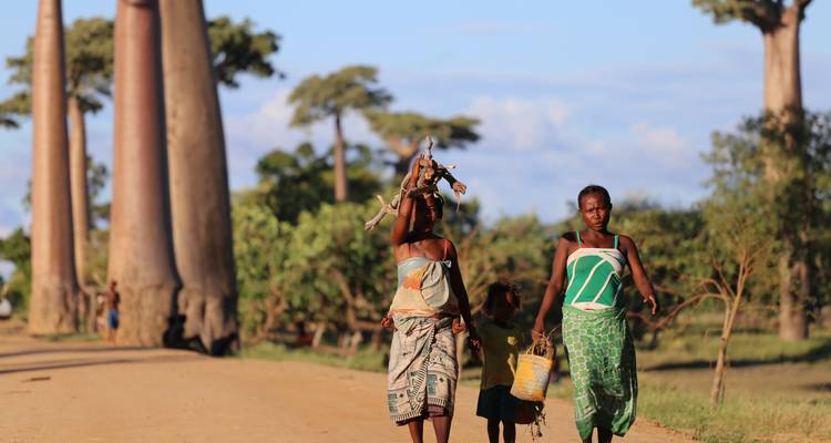 Zambia: 8-Days Nanzhila Cultural, Historical and Wildlife Safari Adventure - Lochinvar Safaris 7