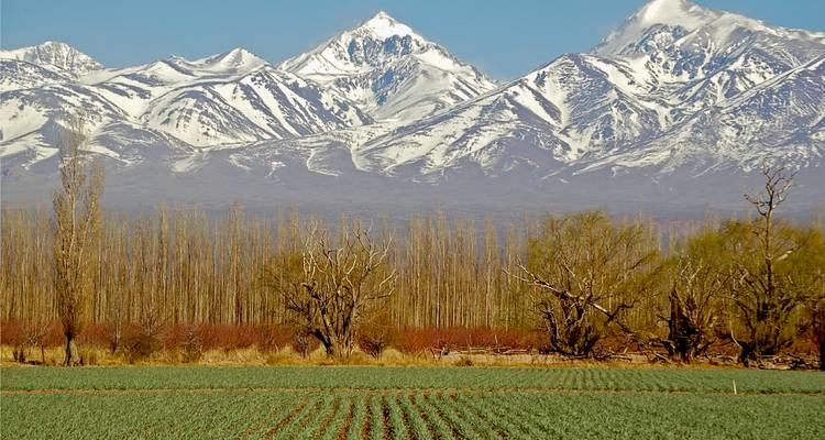 Vacation With Toddlers in Argentina: Falls & Mountains - Say Hueque Argentina & Chile Journeys 7