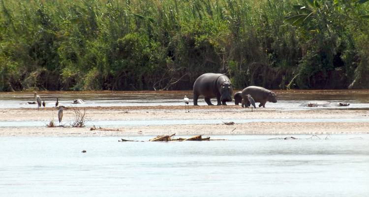 Safari Aventure Burundi 7 Jours 6 Nuits - Confort - Across Africa Tours & Travel 6