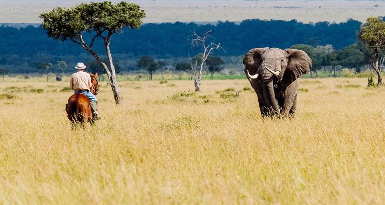 Aventura en Maasai Mara y lago Nakuru 4 días/3 noches - Across Africa Tours & Travel 2
