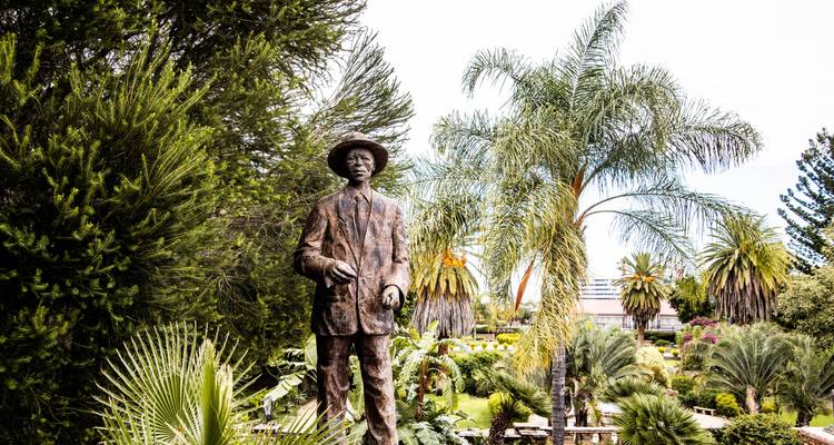 A statue of a man in a garden with greenery and palm trees.