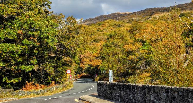 Realeza en Kerry - Royal Irish Tours 3
