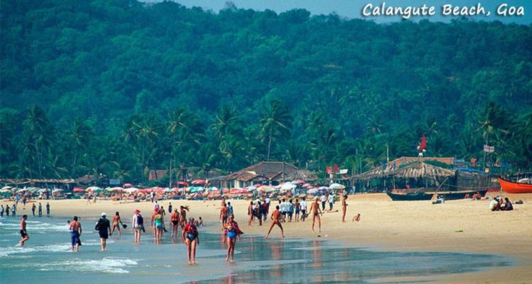 Lujo triángulo de oro y Goa - Amazing India Tours 1