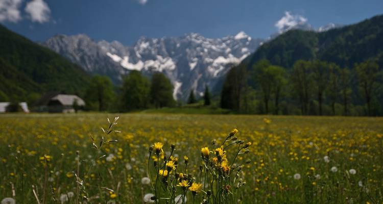 Eslovenia paseo de las 9 Aguas - Helia Travel Agency 4
