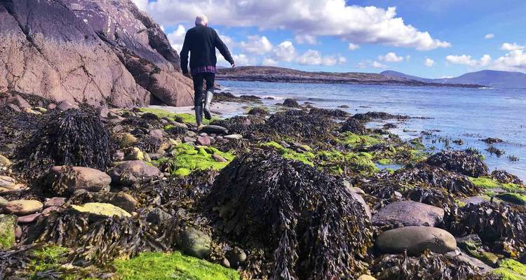 Ireland's Wild Atlantic Way Guided Rail Tour - McKinlay Kidd 6