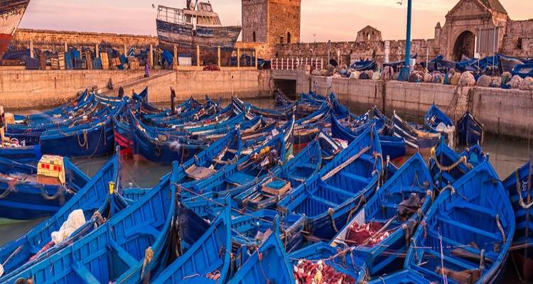Excursion d'une journée de Marrakech à Essaouira - 1 jour - View Morocco 4
