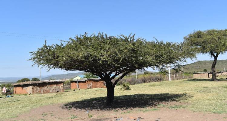 4 Days, 3 Nights Tanzania Group Joining Lodge Safari To Serengeti, Ngorongoro Crater And Manyara National Park - Perfect Wilderness Tours And Safaris 2
