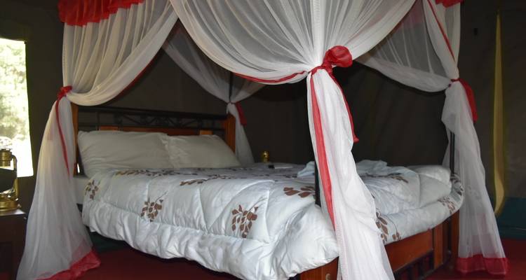 4 Days, 3 Nights Tanzania Group Joining Lodge Safari To Serengeti, Ngorongoro Crater And Manyara National Park - Perfect Wilderness Tours And Safaris 3