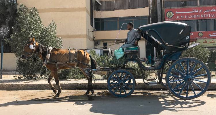 Paquete turístico de 8 días por Alejandría, el Cairo y Luxor - Booking To Egypt 4