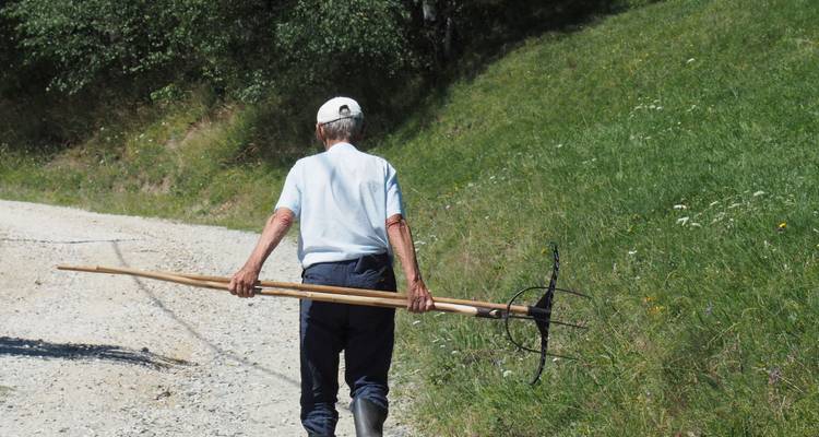 Faites l'expérience de l'écotourisme en Roumanie - programme de Trekking privé éco- certifié - Active Travel 3