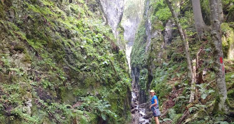Faites l'expérience de l'écotourisme en Roumanie - programme de Trekking privé éco- certifié - Active Travel 8