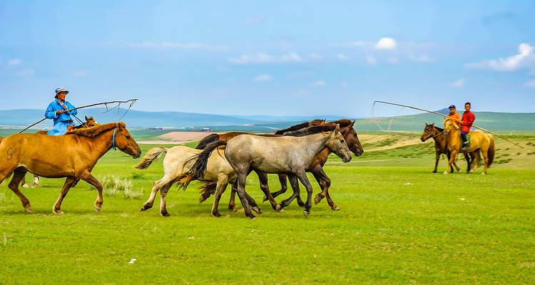 Viaje a medida al Festival de Naadam, con guía y conductor privados - Agate Travel 6
