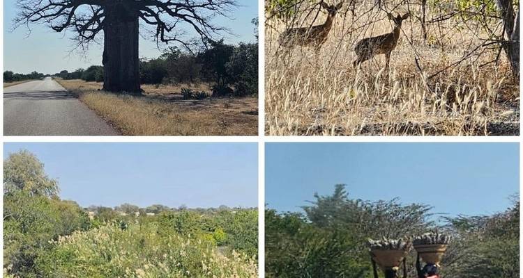 Safari express en Namibie 4J/3N - Across Africa Tours & Travel 2