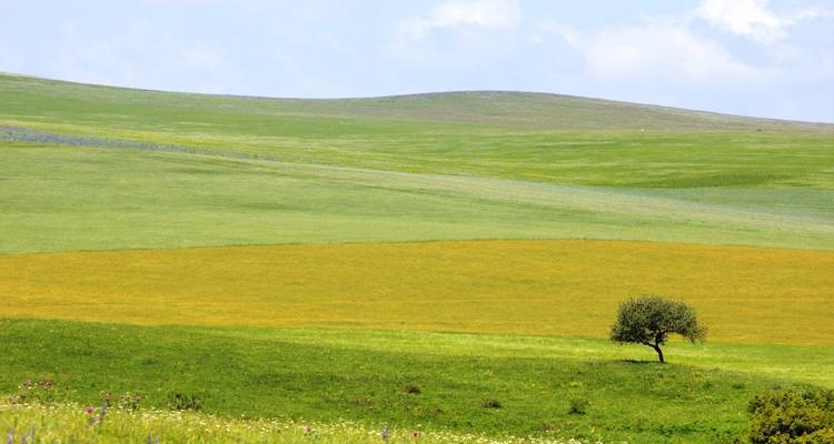 Combinaison Arménie et Géorgie - Un voyage à travers les terres anciennes - Exotour Georgia 1