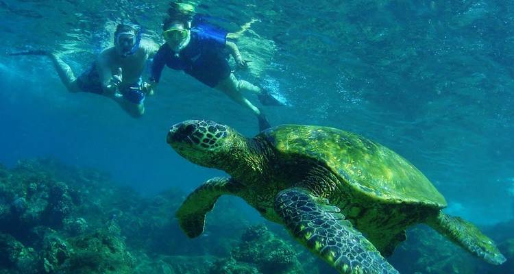 12 Days In Sri Lanka - Holiday Lanka Tours 4