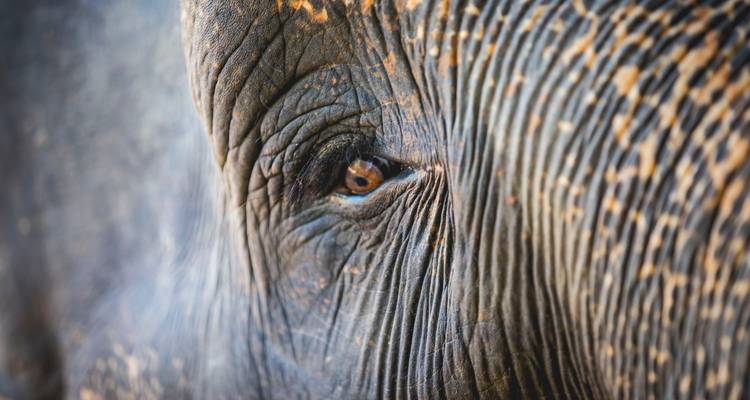 12 Days In Sri Lanka - Holiday Lanka Tours 6