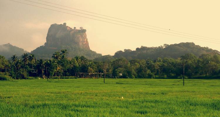 Sri Lanka 13 Days Tour Package - Holiday Lanka Tours 3