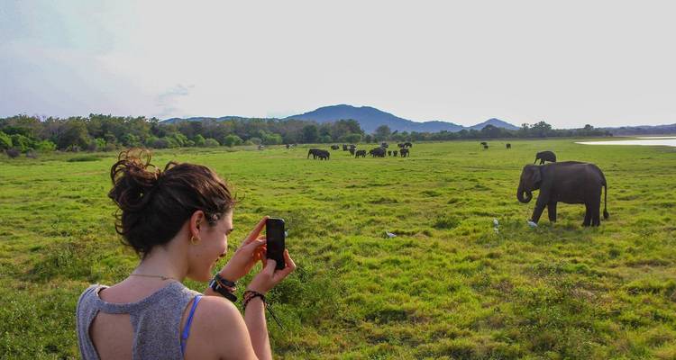 Sri Lanka Itinerary 14 Days - Holiday Lanka Tours 2