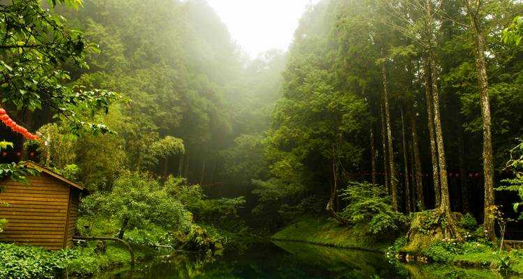Circuit privé de 5 jours au lac Sun Moon et à Alishan au départ de Taipei - MyTaiwanTour 7