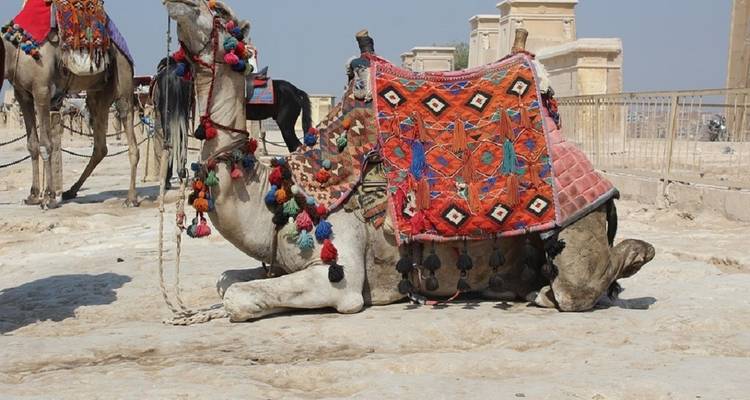9 Days Cairo, Alexandria & Nile Cruise by Sleeper Train - Booking To Egypt 2