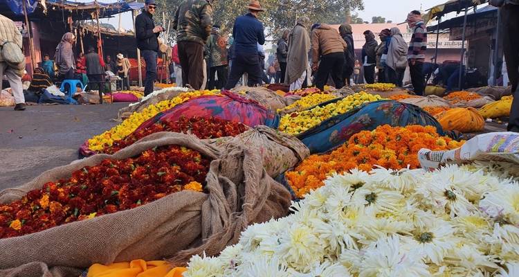 7 Days Golden Triangle Tour - Budget - Turban Adventures 3