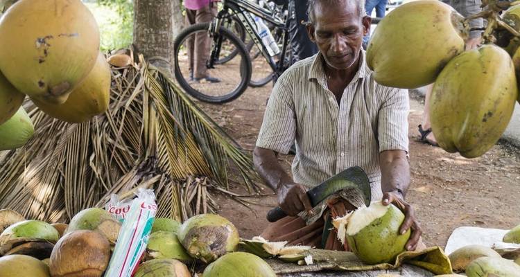 Cycle Kerala (Diwali Festival) - Explore! 9