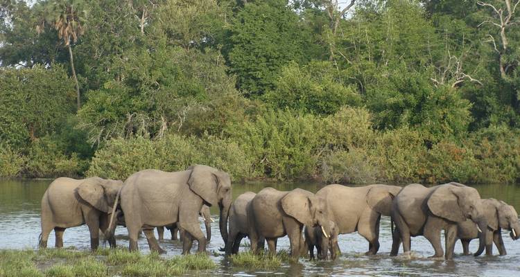 Safari de 3 días y 2 noches en Ruaha - Migration Venture Africa  1