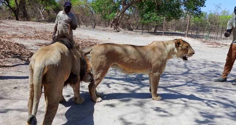 Safari por Senegal 14 días/13 noches - Across Africa Tours & Travel 1