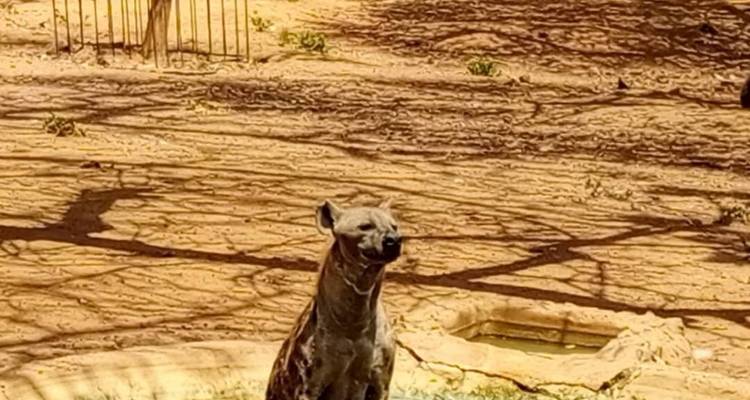 Safari por Senegal 14 días/13 noches - Across Africa Tours & Travel 8