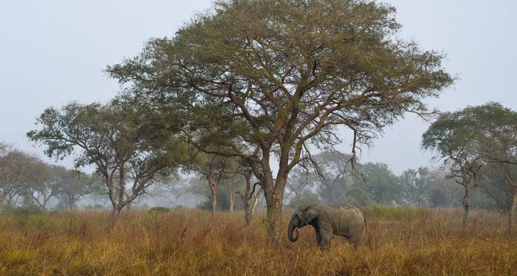 Expediciones a Benín 23 días /22noches - Across Africa Tours & Travel 3