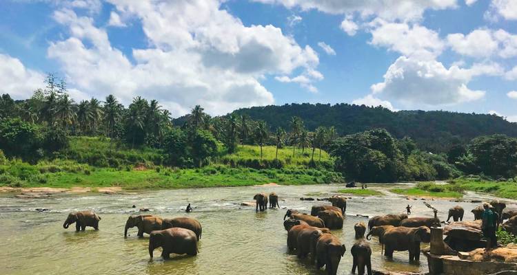 Explora y descansa Sri Lanka, Circuito Privado en Coche - Payless tours india 6