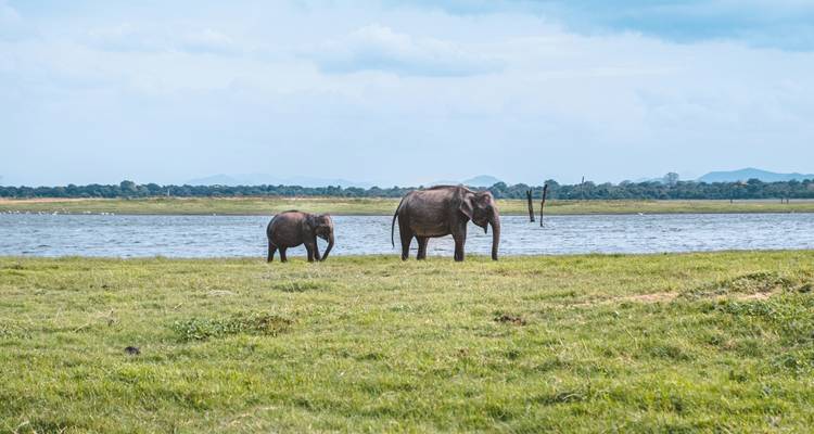 Explora y descansa Sri Lanka, Circuito Privado en Coche - Payless tours india 3