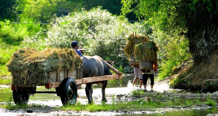 Vacances mystiques au Vietnam en 13 jours par Realistic Asia - Realistic Asia 2