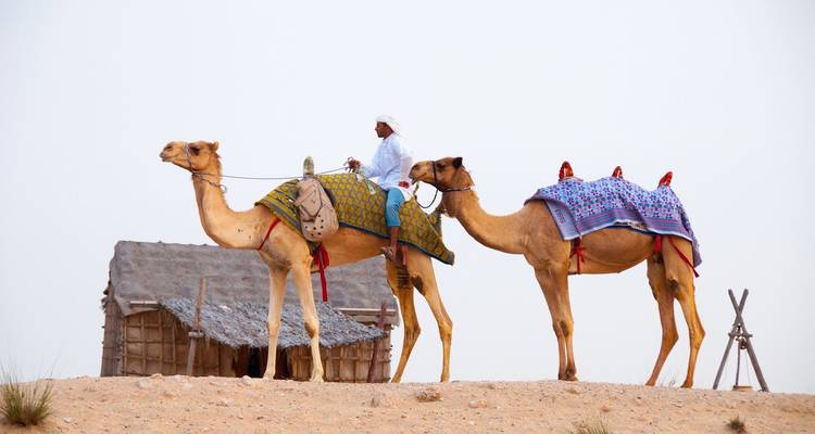 Ferrari World Adventure 5 Days/ 4 Nights - Across Africa Tours & Travel 10
