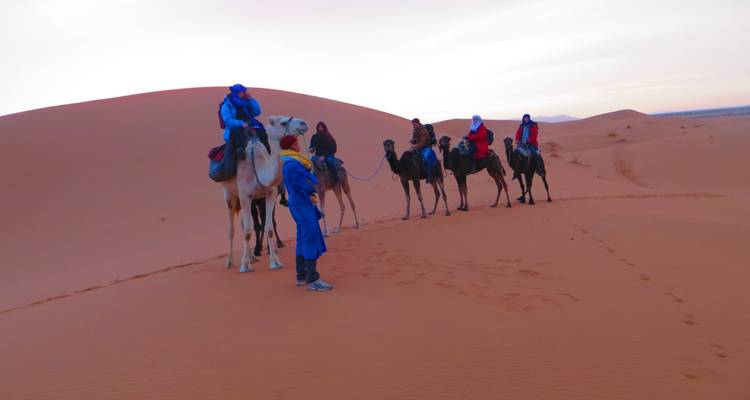 A group of people riding camels through sand dunes.