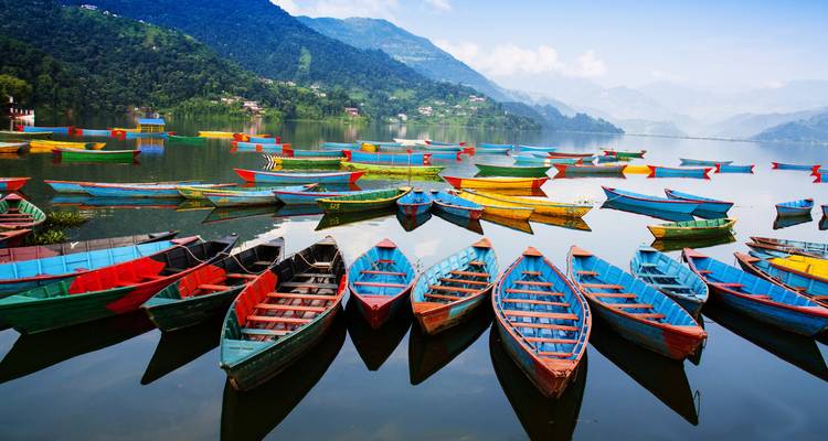 Bateaux colorés sur le lac Phewa à Pokhara avec un arrière-plan paisible.