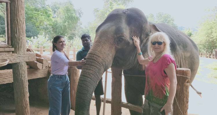 Personas interactuando con un elefante.