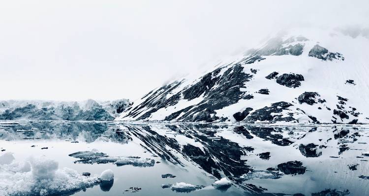 Svalbard - Last Stop before the North Pole 2026 - Albatros Expeditions 7