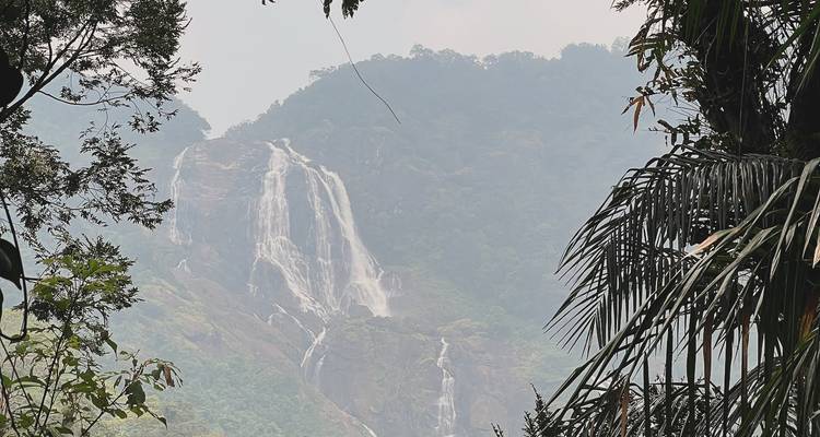 Fernblick auf einen Wasserfall inmitten üppiger Vegetation.