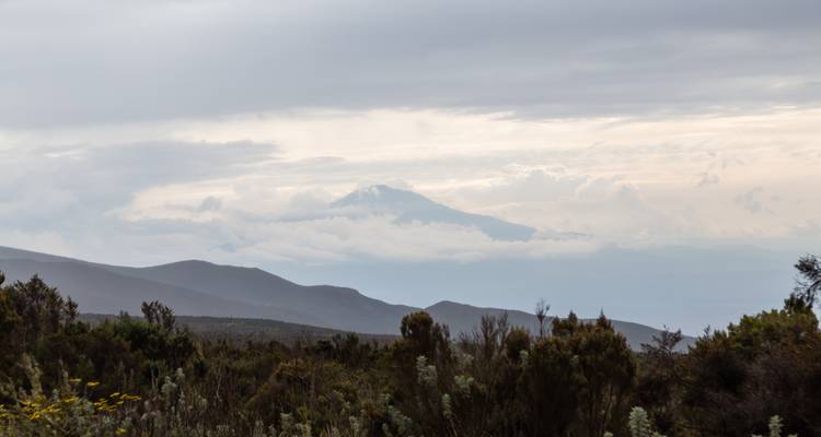 Climb Kilimanjaro: 9 Days Rongai Route - Altezza Travel 2