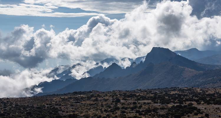 Climb Kilimanjaro: 9 Days Rongai Route - Altezza Travel 3