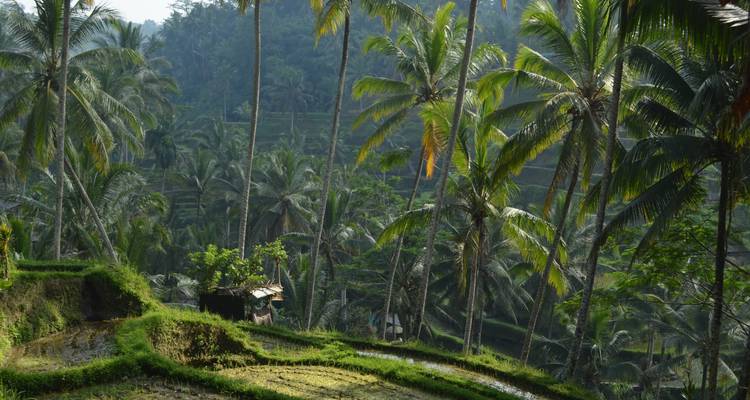 Simplement Bali, visite privée - Destination Services Indonesia 8