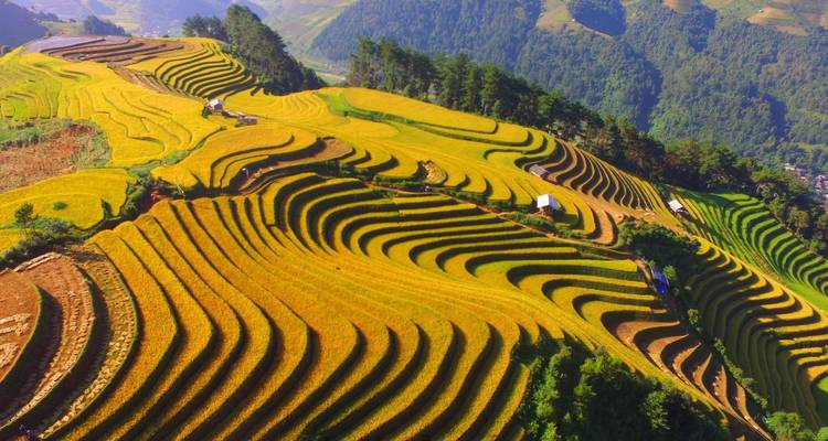 Aventura en el norte de Vietnam en 13 días - Realistic Asia 9