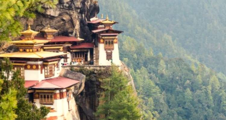 Un monastère construit sur une falaise rocheuse entourée de forêt.